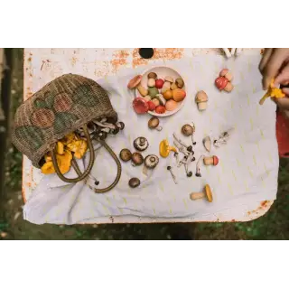 MUSHROOM GROVE