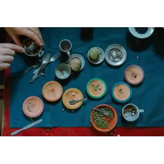 DISHES